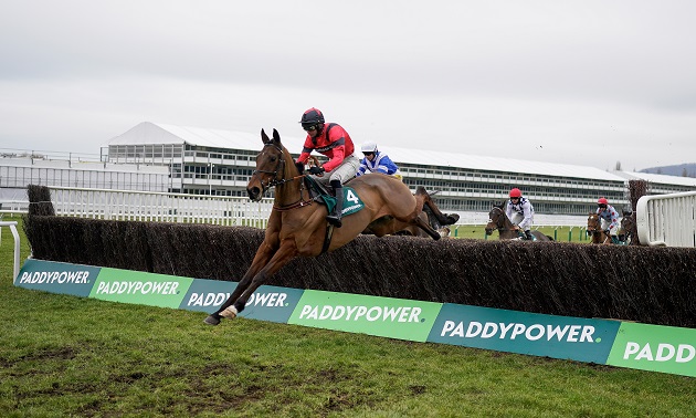 Ahoy Senor stays on strongly to win Cotswold Chase