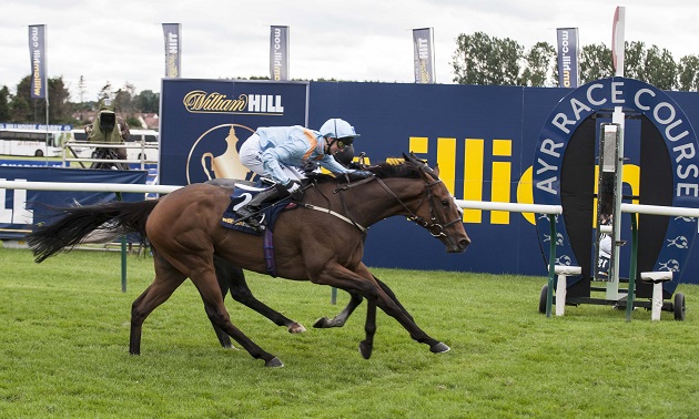 15:00 Ayr: Timeform preview and free Race Pass