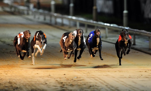Best Bets: Friday 6 December