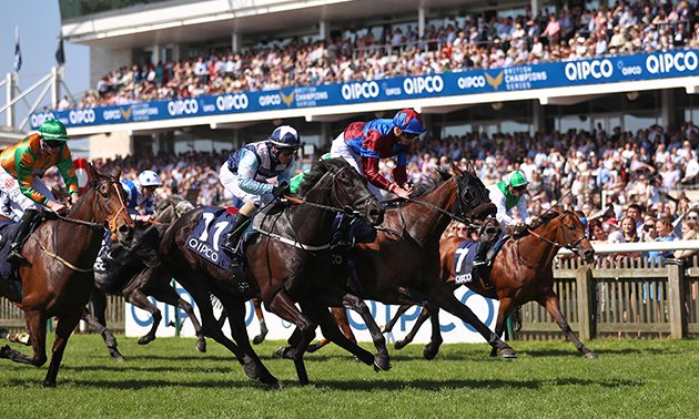 10++ Todays horse racing results from newmarket best pedictions