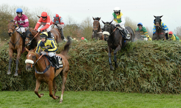 Market movers: four horses being backed to win the Grand National