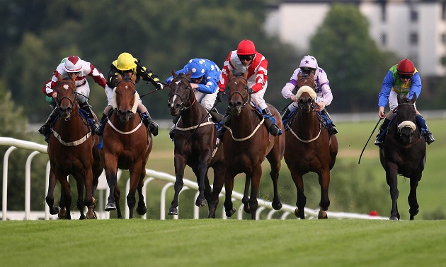 Sunday Series at Hamilton: Jockey Cup