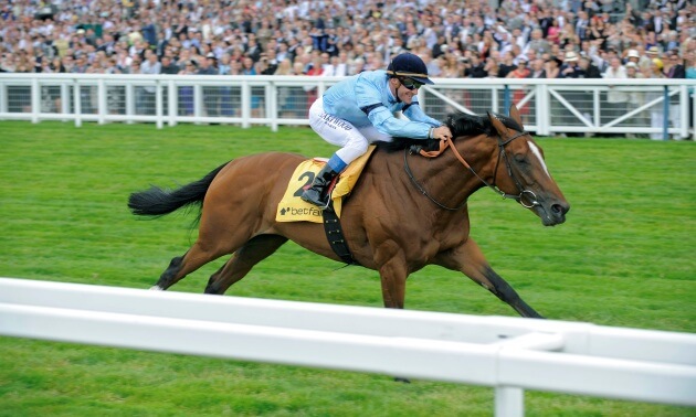 Timeform derby ratings 2019