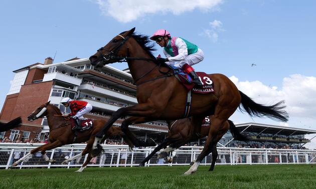 Laurel on course to make belated return at Royal Ascot