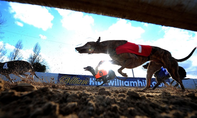 Best Bets: Monday 16 December