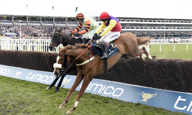 Cheltenham Gold Cup | Timeform's runner-By-Runner Guide