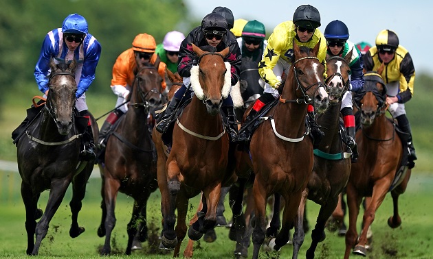 15:45 Nottingham: Timeform preview and free Race Pass
