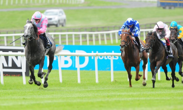 Whats On | The Curragh Racecourse