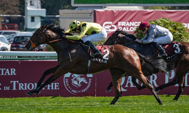 Betting on Longchamp's Winning Night - Say Who