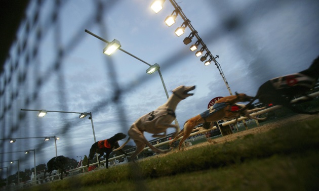 Best Bets: Saturday 7 December
