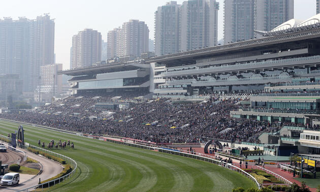 Win Marilyn storms home in Hong Kong Vase