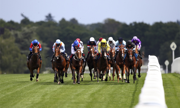 how to read a horse racing card timeform