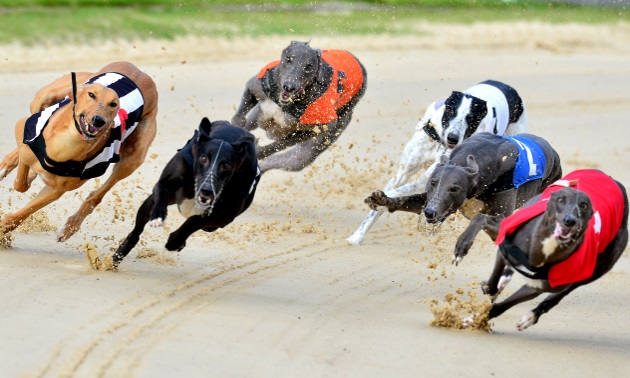 Best Bets: Thursday 9 January