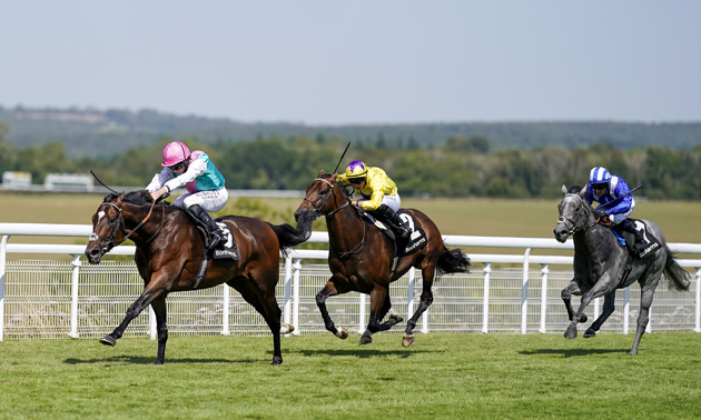 Timeform's Tote Placepot: Wednesday at Goodwood
