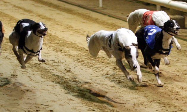 Best Bets: Tuesday 24 December