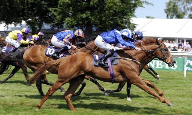 How Timeform describes the going