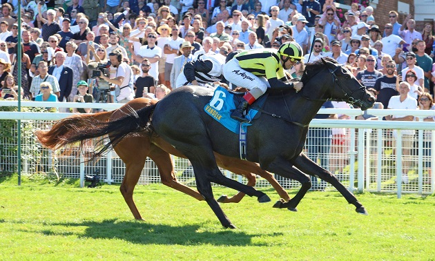 Middle Park Stakes: Timeform preview, tip and free racecard
