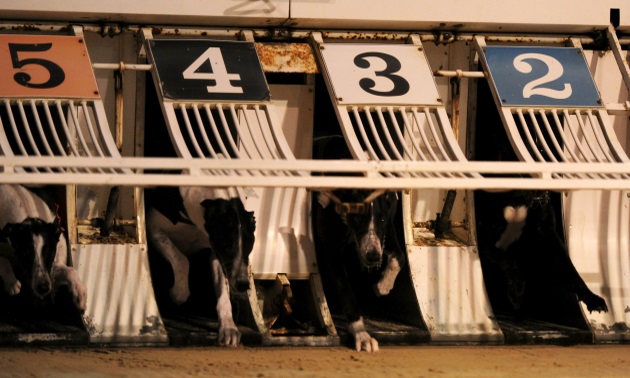 Best Bets: Wednesday 4 December