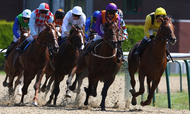 19:00 Wolverhampton: Timeform preview and free Race Pass